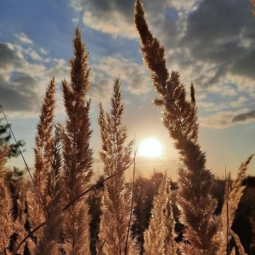 وقتایی که تنگ میشه دلم به عکسات سر میزنم صدای پسر