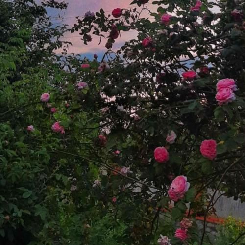 ﻧﭙﺮس در ﻫﻮای ﺗﻮ ﻛﺪام ﻟﺤﻈﻪ ﮔﻢ ﺷﺪم – هوش مصنوعی