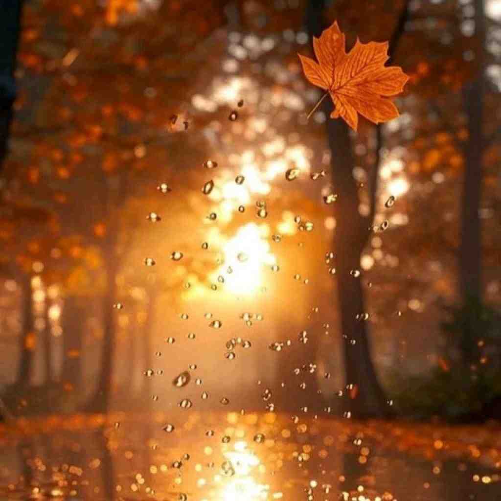 سهیل غنی پور و سورنا و شایع و بهرام فریاد