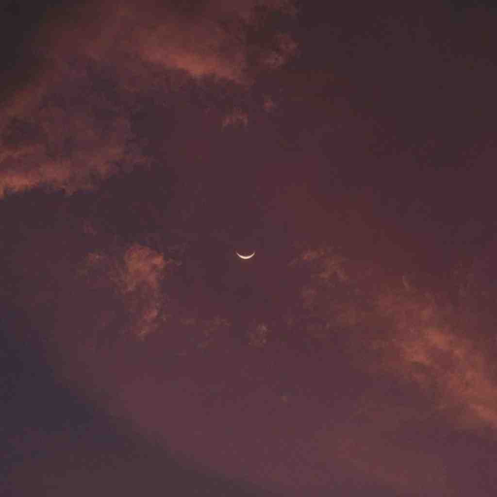 پیشرو و توپاک و پوری حصین و امینم و خلوت هولوکاست