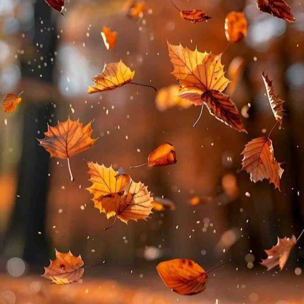 سورنا و ناجی و اشکان و مسلک و تتلو و مهدیار آخرین ثانیه