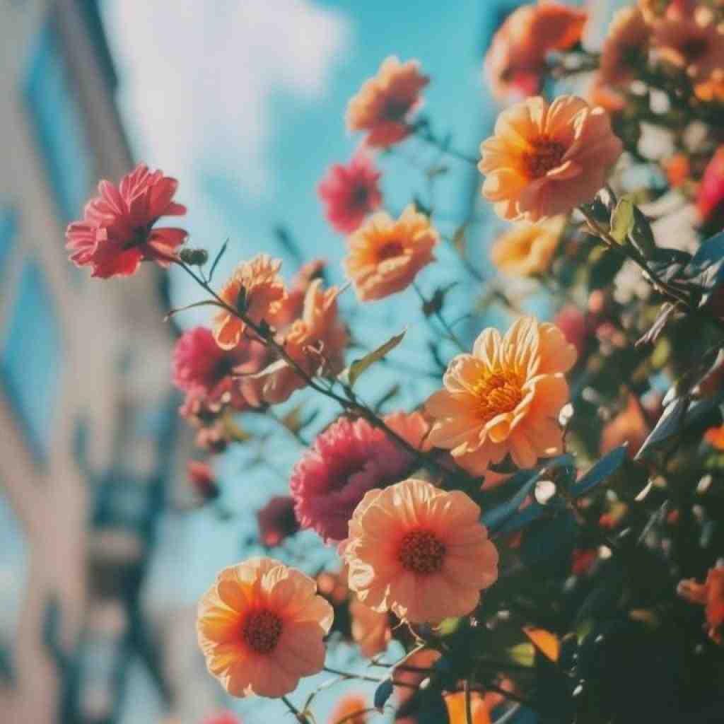 آرش دلفان و سورنا و تتلو و شایع و پیشرو خاطره
