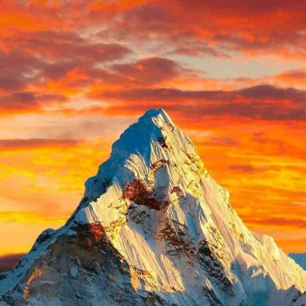 ناجی و سورنا و سالک نبودی