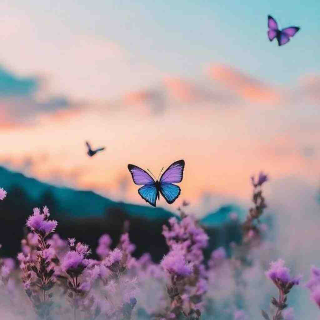 ایسین و ناجی و پوری و ویناک آرزو