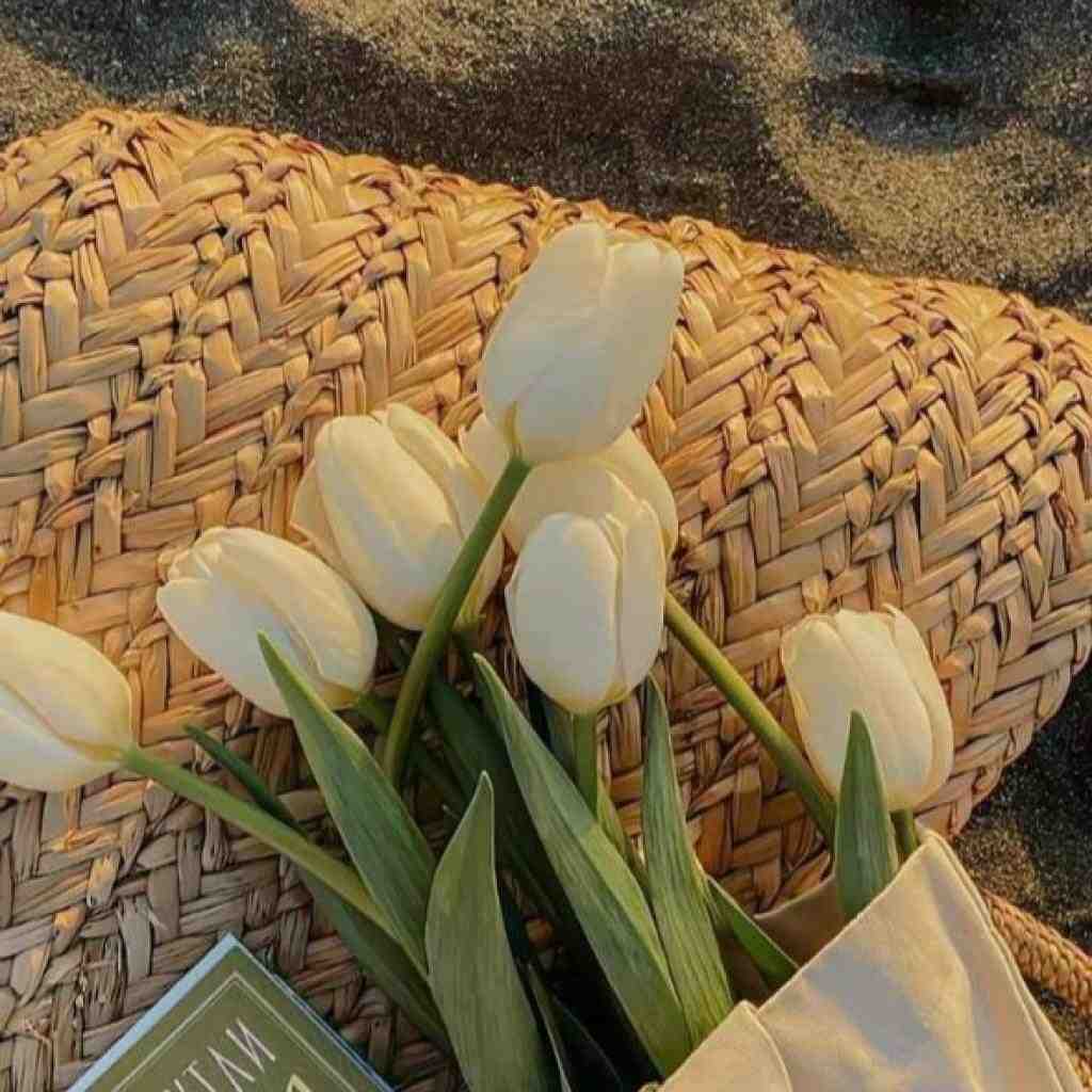 فرشاد آزادی و شایع و سورنا و مهدیار و ناجی رهایی