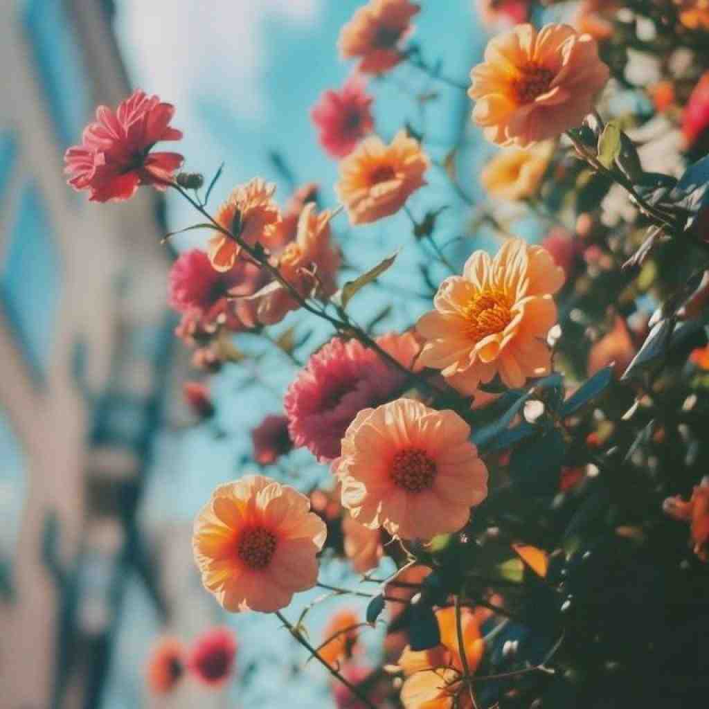 تتلو و شایع و فرشاد و سورنا و مهیاد آخرش