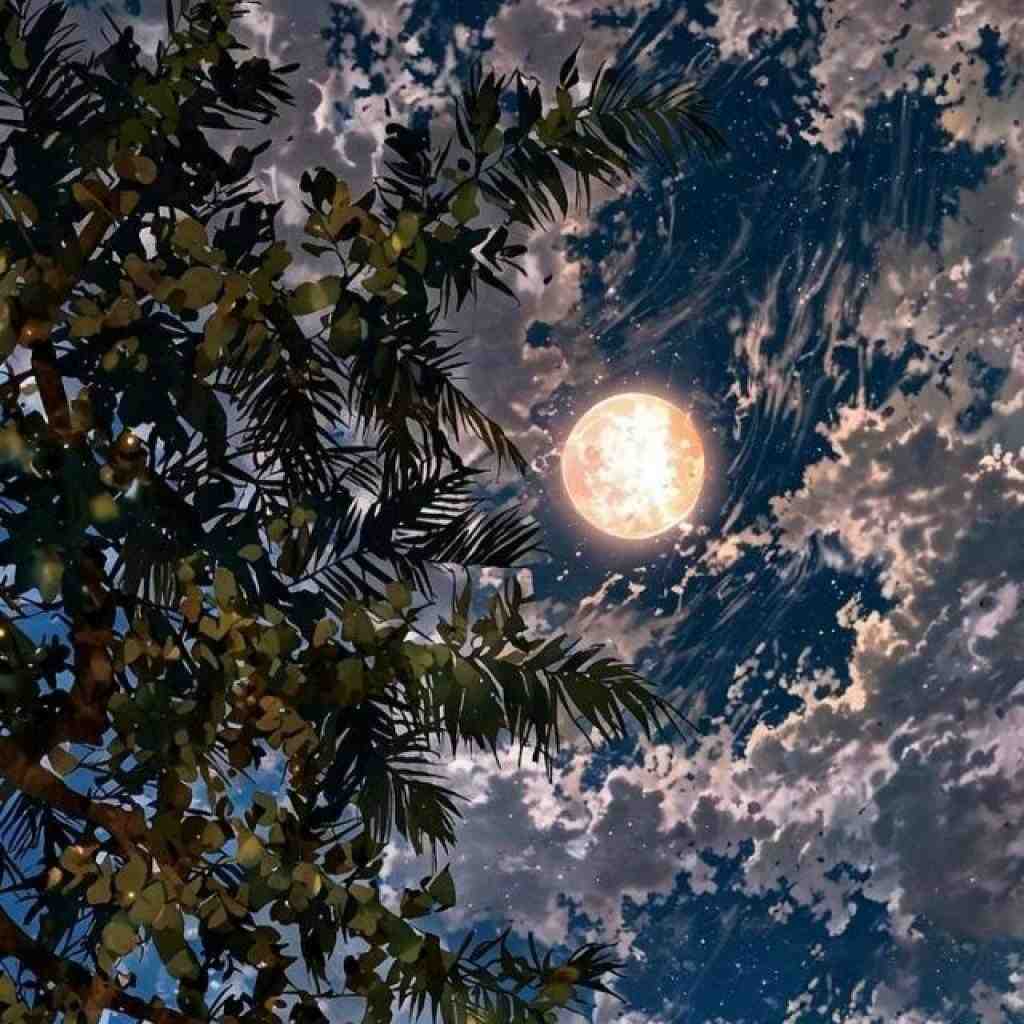 مهیاد و عاقبت و خلوت و مسلک و تتلو دل بده
