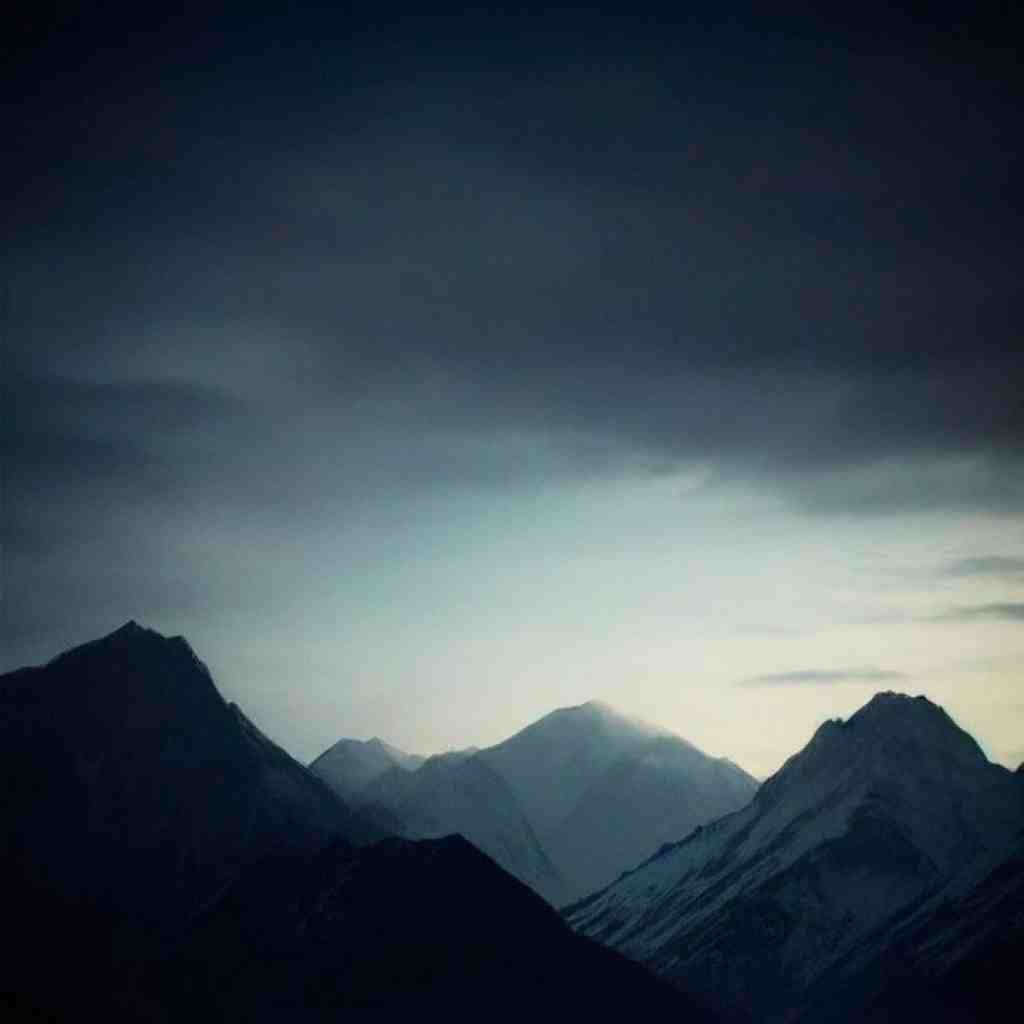 شایع و پوری و ناجی و خلوت و تتلو و سورنا قلب سیاه