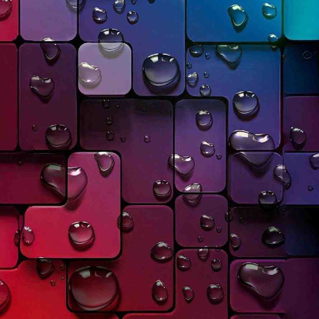 سورنا و عارض و پوری و علیفو و هیچکس قمار