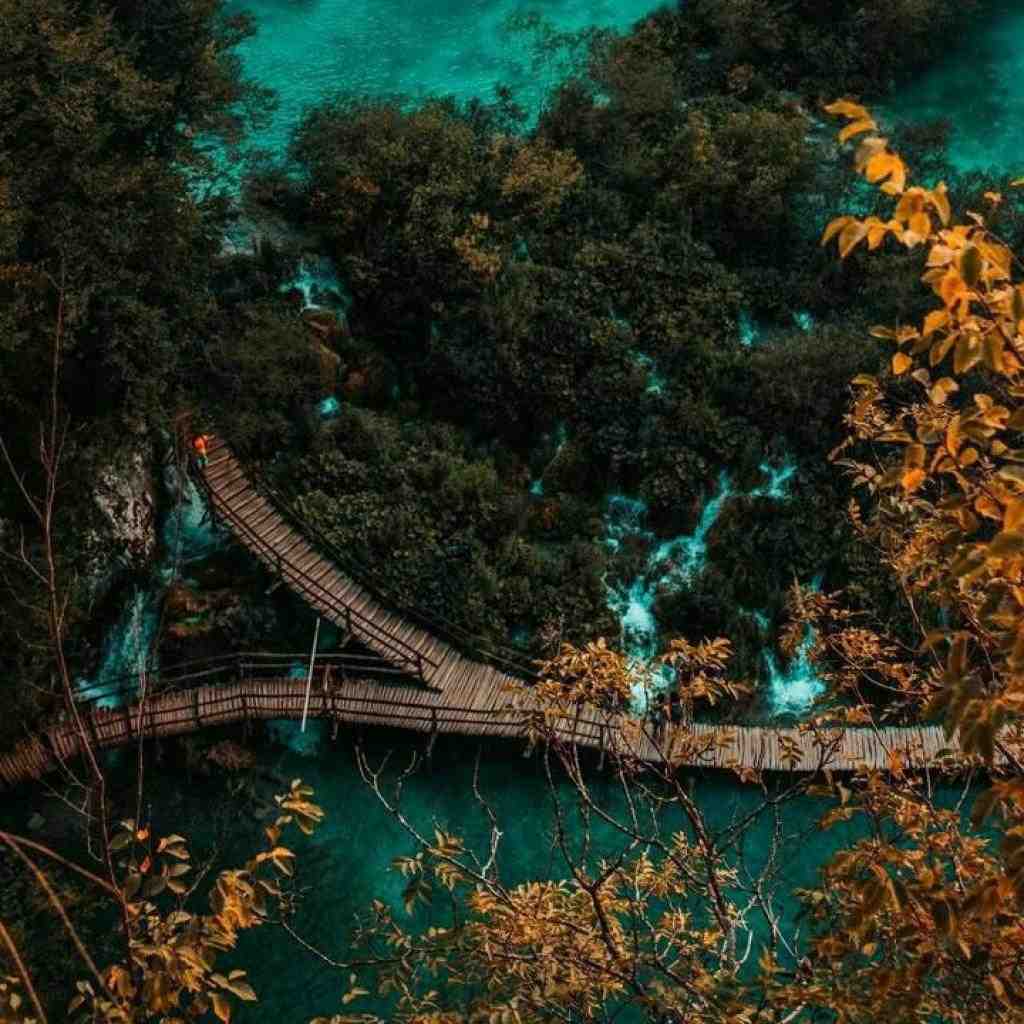 بیبال و ناجی و سورنا و حمیدرضا بابایی اسیر