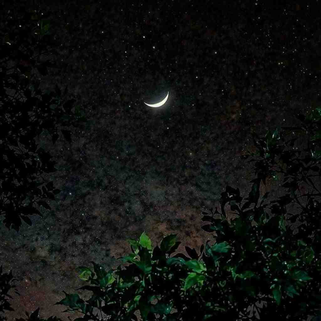 شایع و سورنا و دانیال و حصین غم عشق