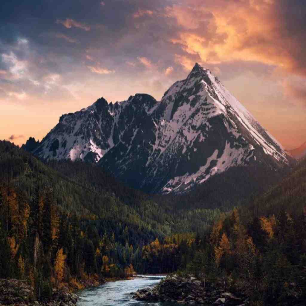 مهستی و سورنا و مهدیار و سهیل مهرزادگان و یاس 13