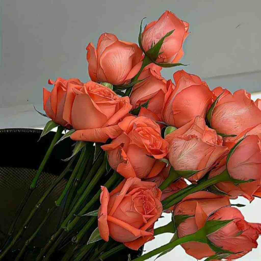شایع و مسلک و فرشاد و سورنا و ناجی و مسین آغوش