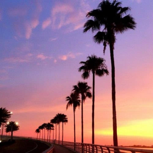 دانلود ریمیکس زوده از مرتضی پاشایی و شایع و سورنا و تتلو و حصین و بهرام