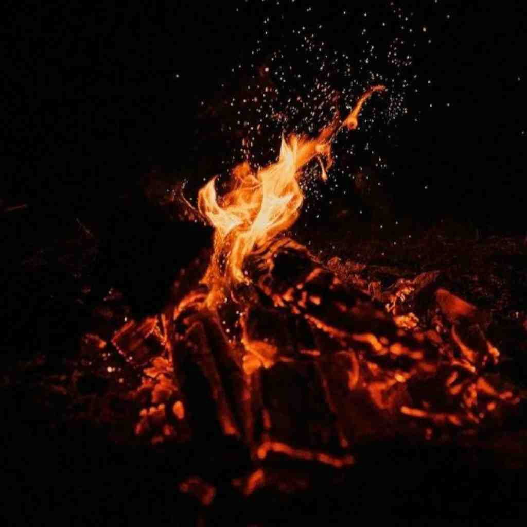 شایع و مسلک و حصین و هیچکس و سورنا و فرشاد ابدی
