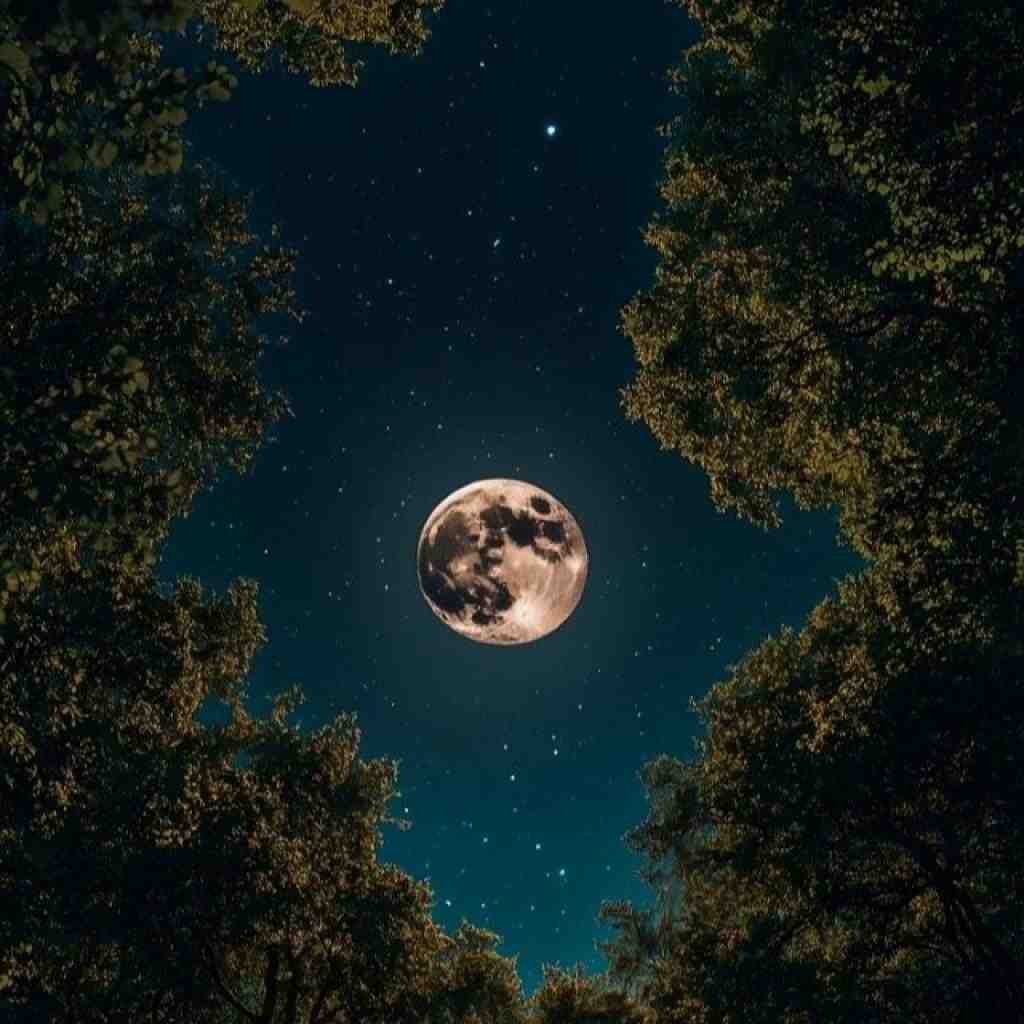 ناجی و سورنا و شایع و صادق و بهرام یادم میره
