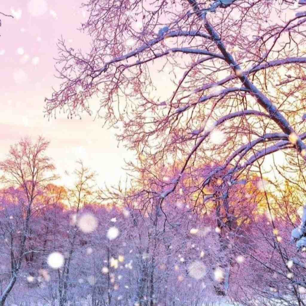 سورنا و خلوت و دانیال و مسلک و پیشرو نترس