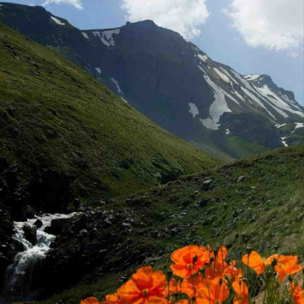 هیپهاپولوژیست و پوری و دورچی و احسان حیدری آسمون