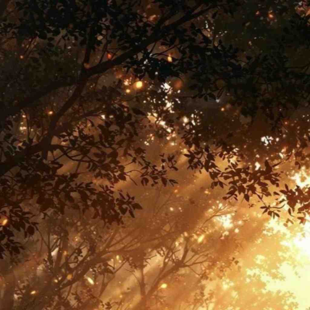 دانیال و پیشرو و صادق و خلوت و شایع کبوتر 6