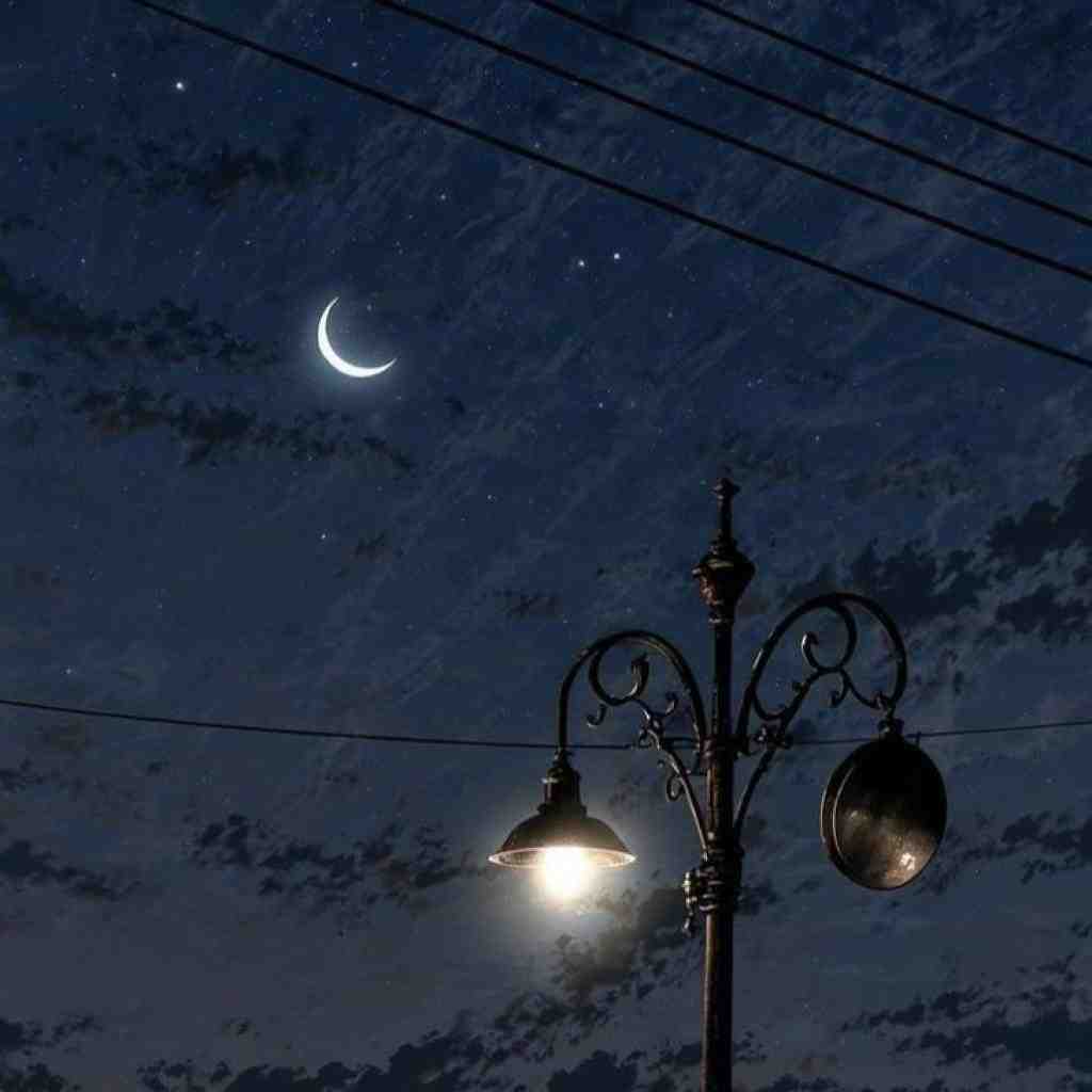 تتلو و شایع و سجاد شاهی و ویناک و ناجی فندک