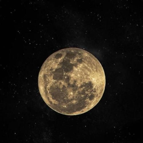 دانلود آهنگ جدید واسه امشب فکر و خیال کنسل دور هم جمع پیک و بیار