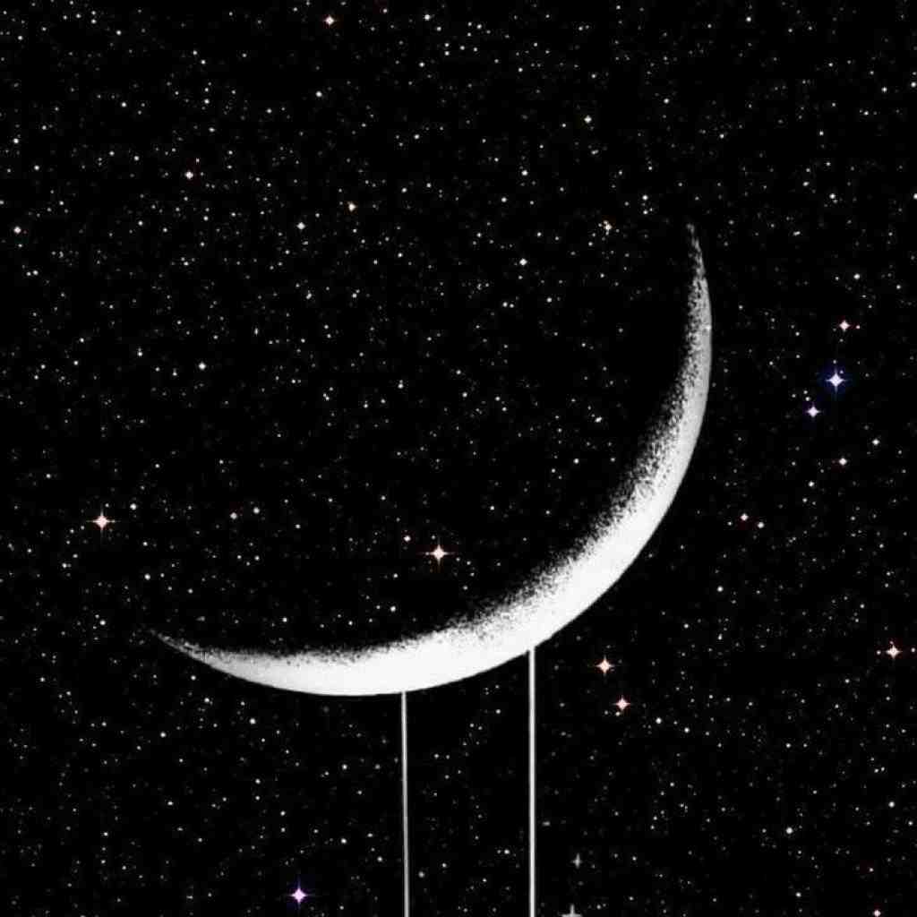 رامین تجنگی و تتلو و دورچی و ویناک نمیتونم