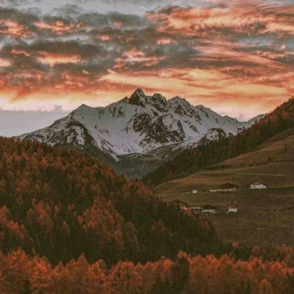ناجی و تتلو و پوتک بی رمق