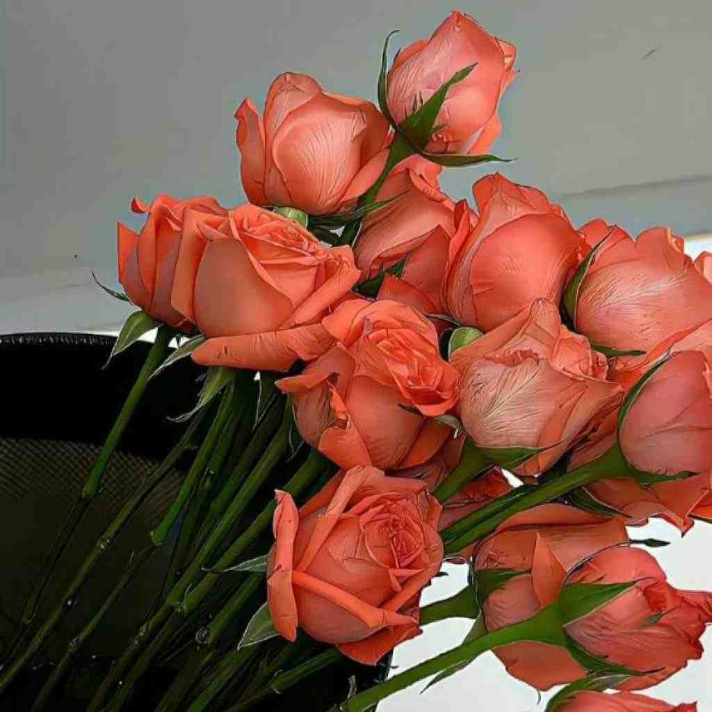 سورنا و ناجی و صادق و بهرام مورفین