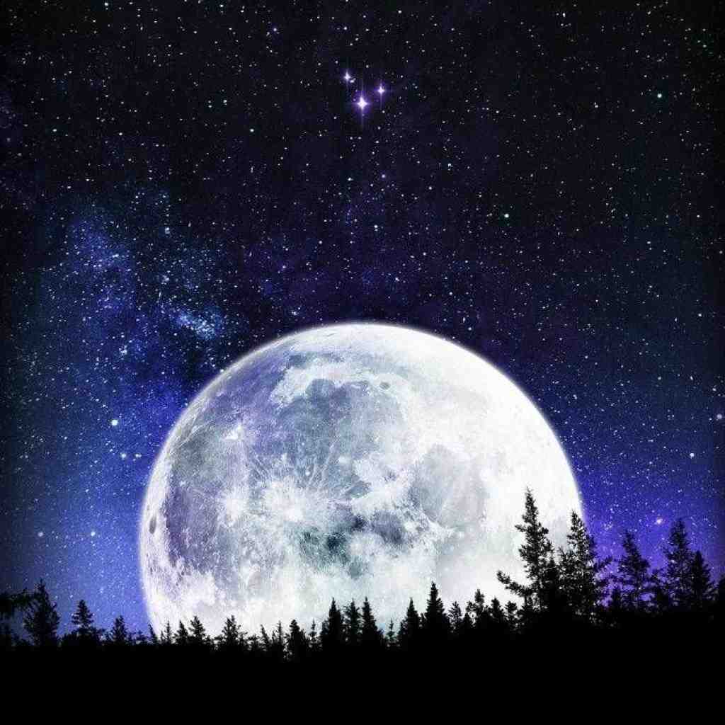 هیپاپولوژیست و سورنا و شایع پاییز