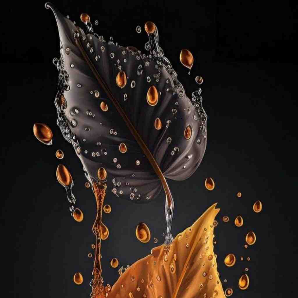 پوتک و حصین و صادق و خلوت و تتلو زخمی