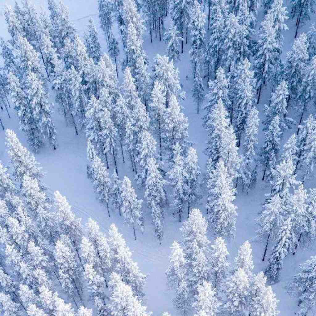 هیپهاپولوژیست و آرتین بهادری و پوری و تتلو و ددی هوای من