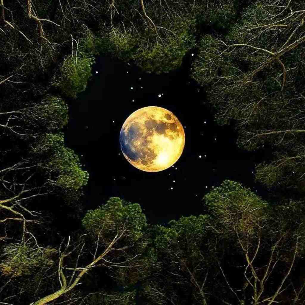 شایع و تتلو و سورنا آرزو