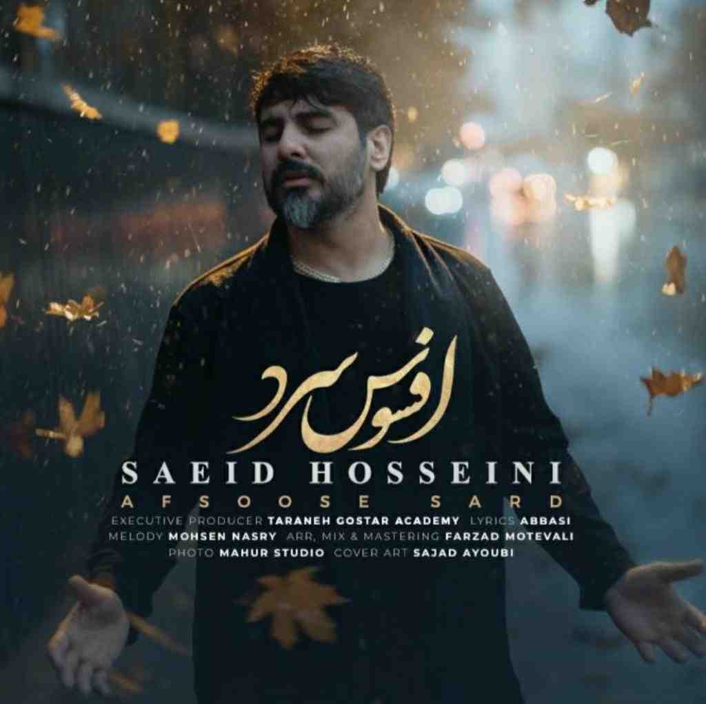 سعید حسینی افسوس سرد