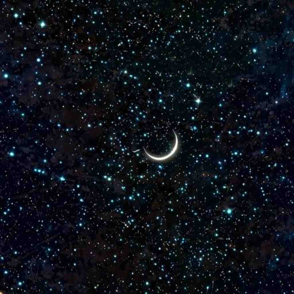 توماج و سورنا و نجفی و صادق و تس دار