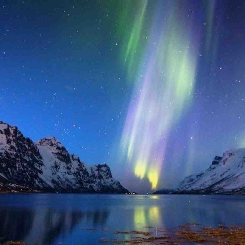 عرفان و پیشرو و ساعی و هیچکس باطل