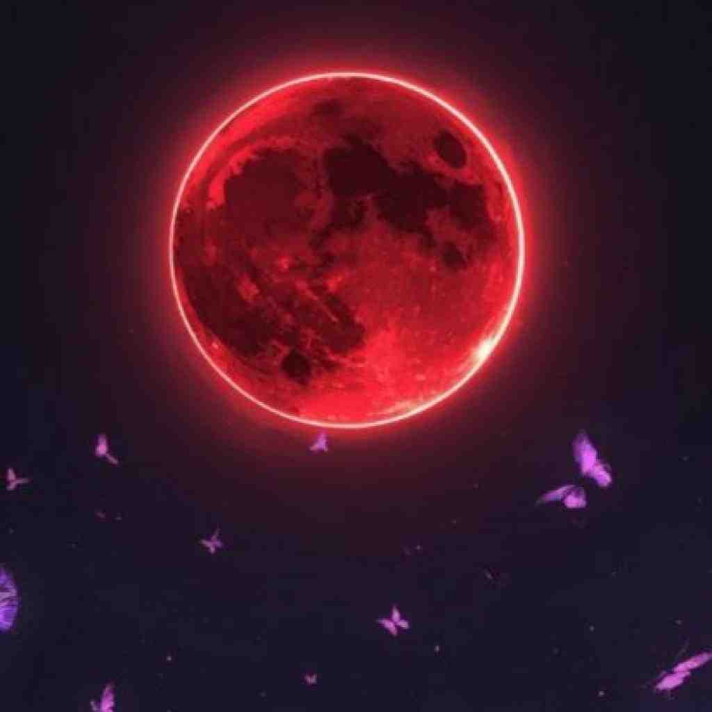 ناجی و تی ام و تتلو و ام جی و رض دلیل بودنمی