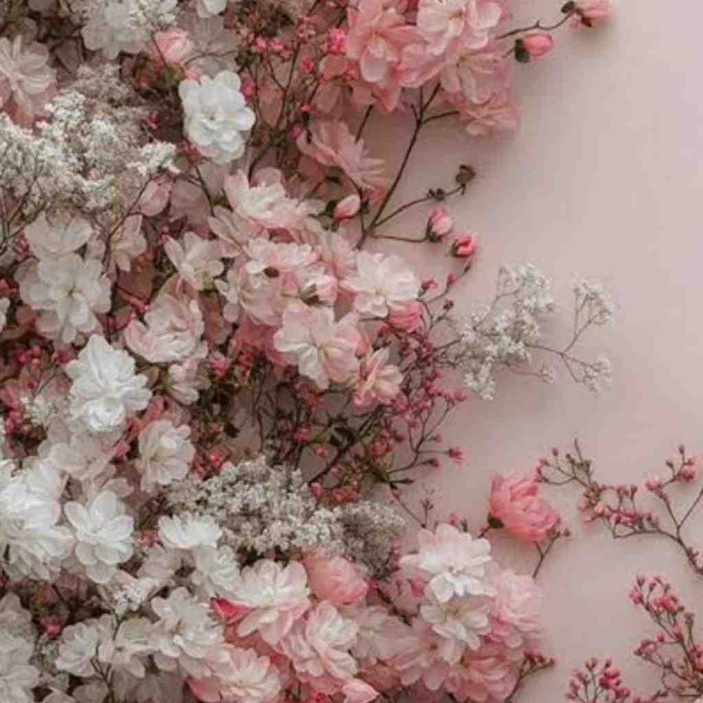 پوری و خلوت و سورنا و فرهنگ رد پا
