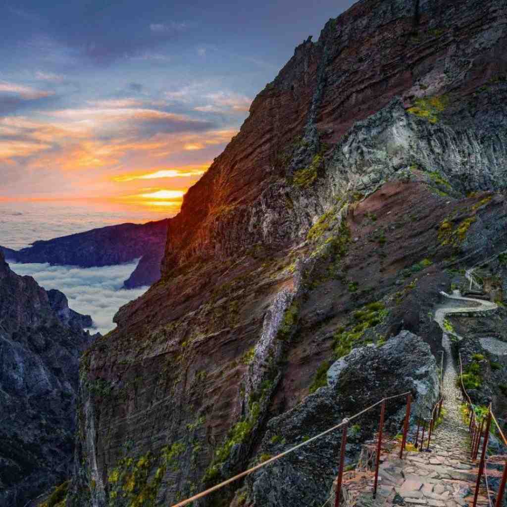 خلوت و حصین و هیچکس و پیشرو و ام جی پا بر جا