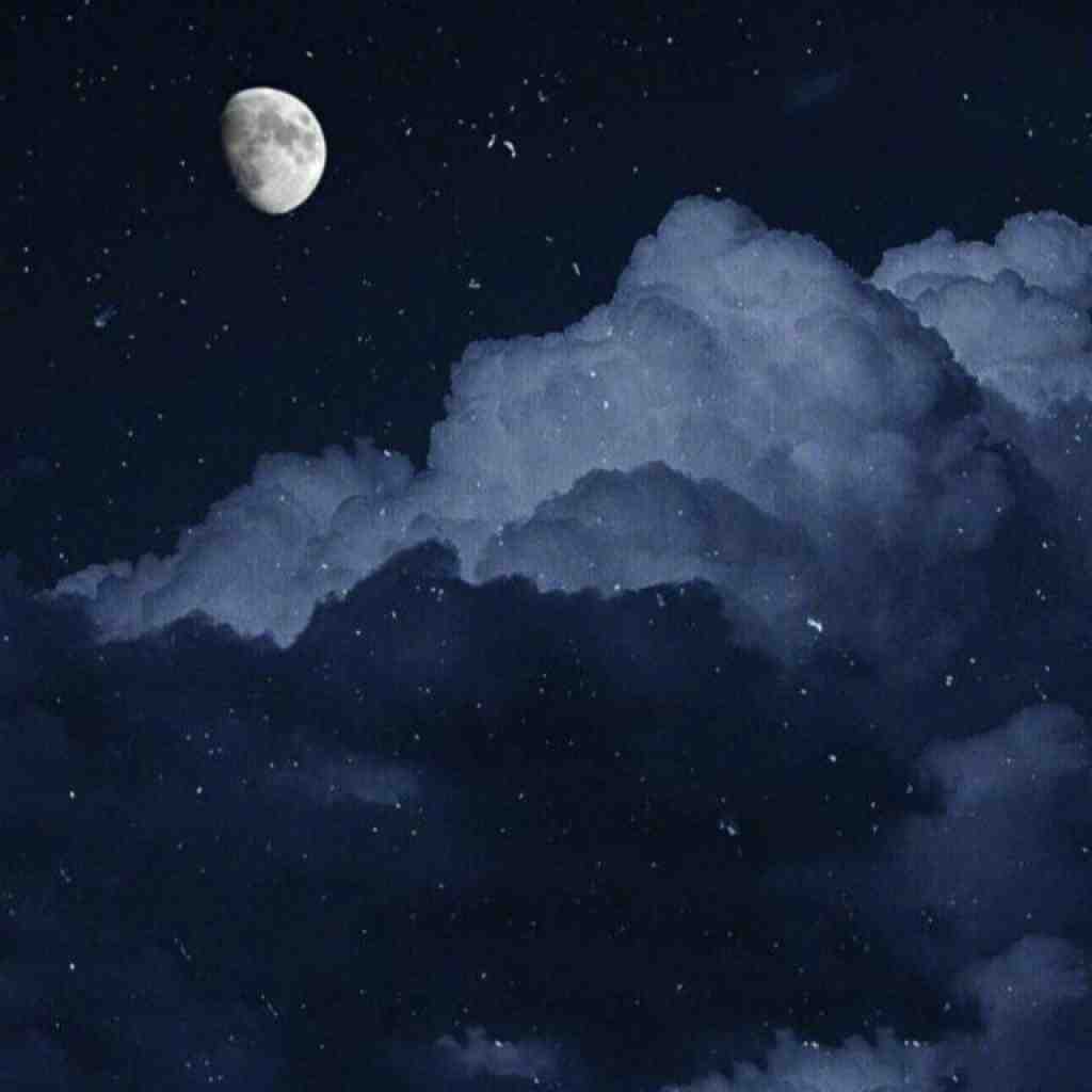 پوتک و سورنا و عارض و بهرام و فرشاد دلهره