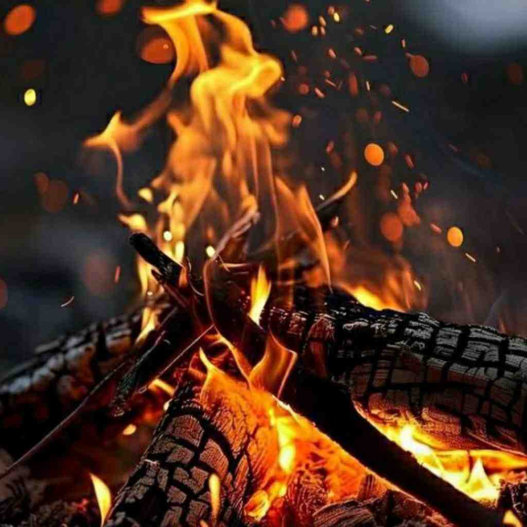پیشرو و شایع و سورنا و پوتک و مسین محتاج