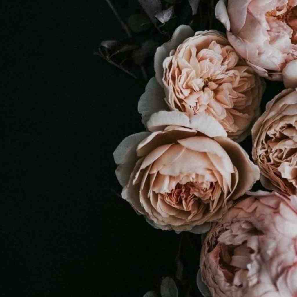 تتلو و پوتک و یاس و خلصه تنهایی