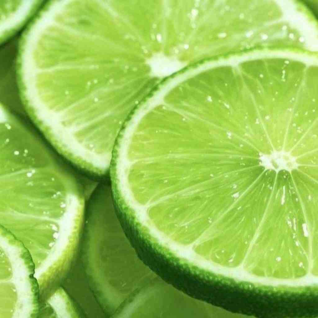 حصین و شایع و سورنا و عارض روزهای تلخ