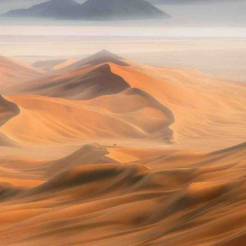 روح الله کرمی و سورنا و پیشرو و هیچکس توبه