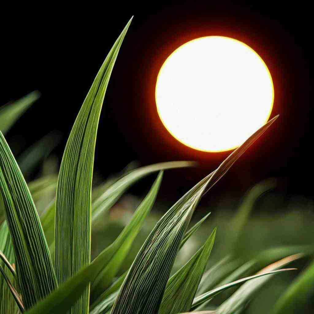 یاس و بهرام و سورنا یه مرد آسمونی