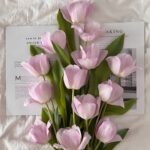 دانلود آهنگ ترند هره گوله با صدای چند خواننده + ریمیکس های خاص