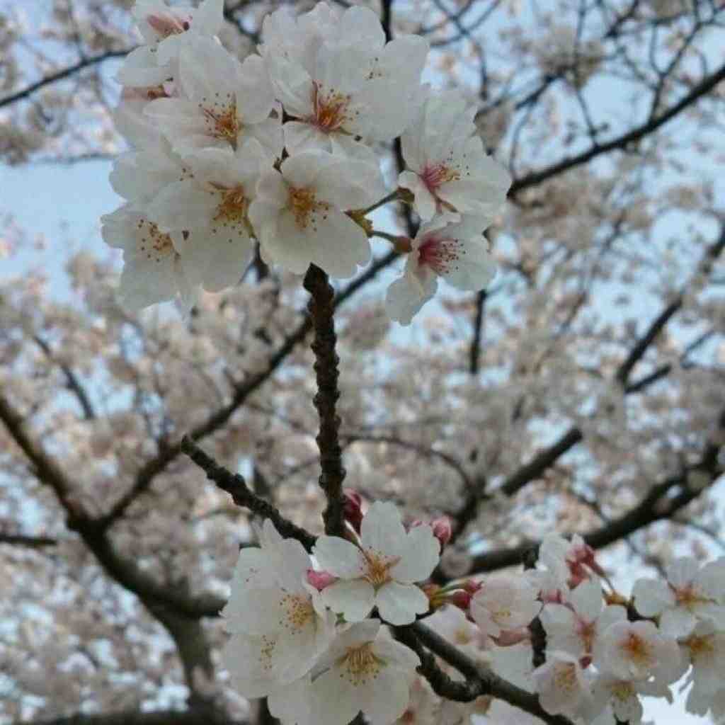 رضا یاری و روح الله کرمی و رضا کرمی تارا و امیرحافظ رنجبر و پیام عباسی اشک 3