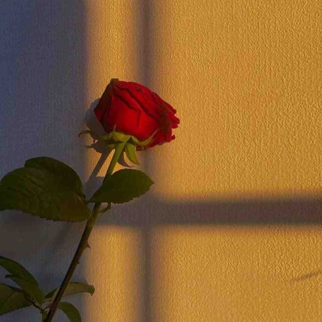 مسین و ایسین و ناجی و ویناک و هودادکا و خجسته و هیپهاپولوژیست حست میکنم
