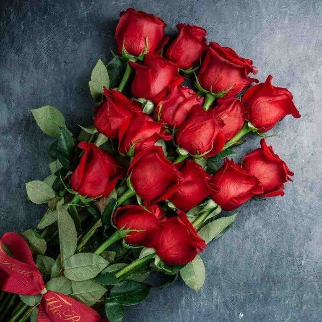 آرمین برمایه و رامین کرمی تیکه کلام