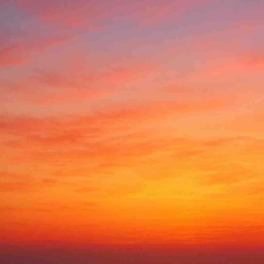 شادمهر و تتلو و فدایی و آرمین برمایه غریبه