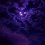 داداش کجایی دارم میام خرید زدی خوابم میاد